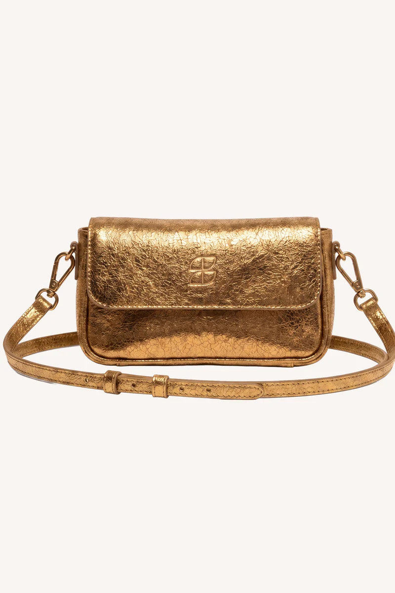 Jude metallic bag