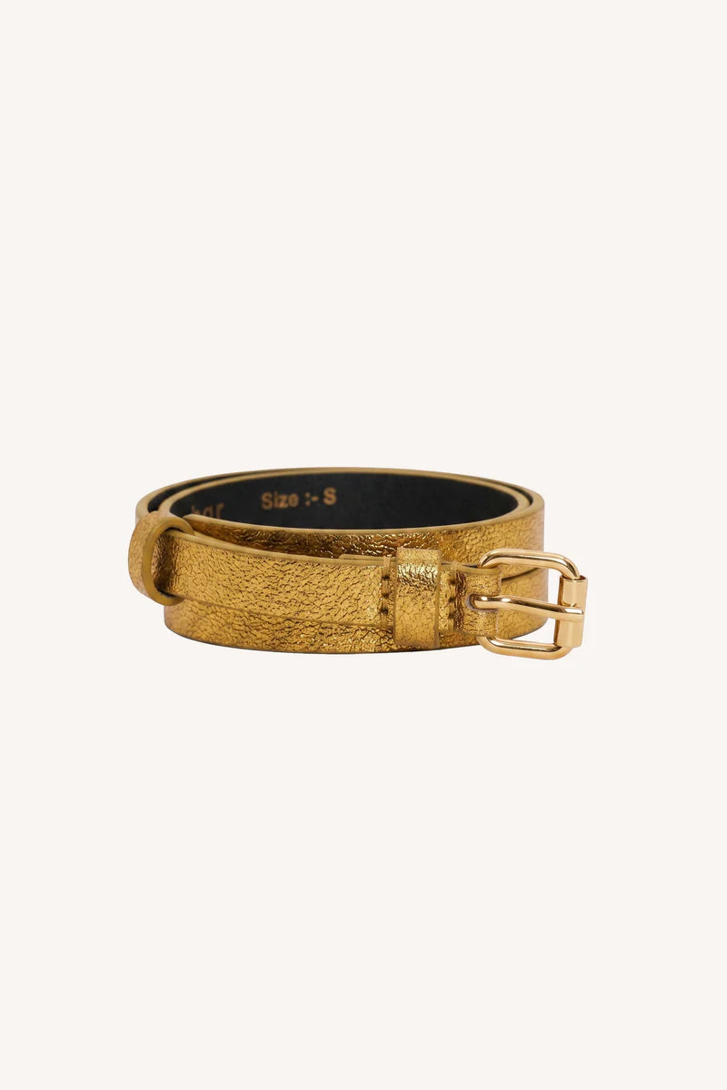 Lovi metallic belt