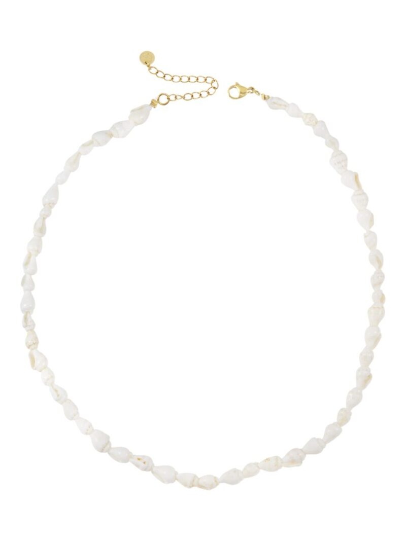 Korte Ketting Met Schelpjes