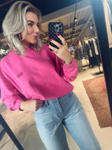 Plizzy Pullover