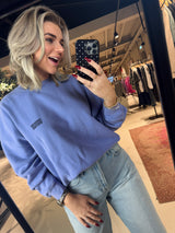 Plizzy Pullover