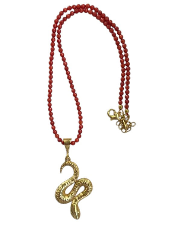 Ketting rode kraal met slang