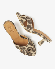 Lily Celia Pumps