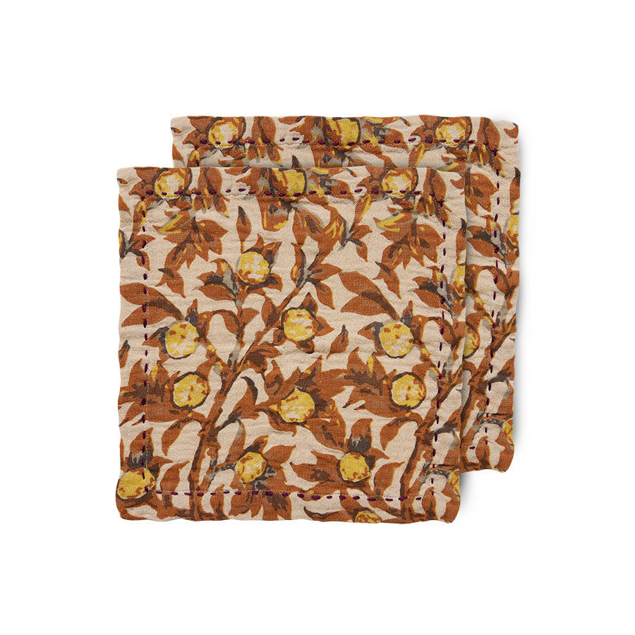 Cotton Napkins (set of 2)